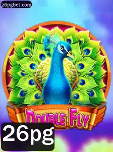 Explorando DoubleFly: Um Mergulho nas Regras e Dinâmicas do Jogo Inovador